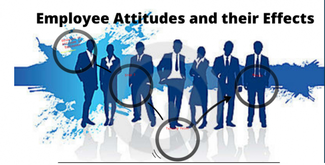 Employee attitudes affect customer service